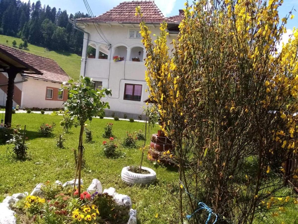 Hotel Casa Ionescu Sadová Exterior foto